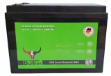 BullTron® LiFePO4 300Ah Akku BMS & Bluetooth integriert LxBxH: 367 x 189 x 253 mm